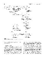 Bhagavan Medical Biochemistry 2001, page 391